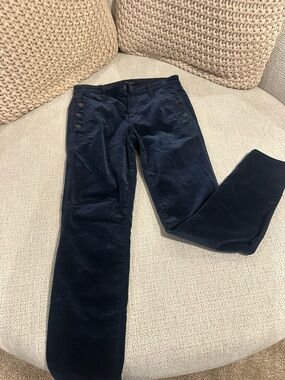 J Brand Dark Navy Pants with button accents